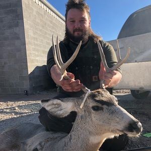 Meet your Posher, Hunter